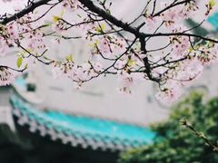 -武汉大学-樱园