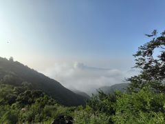 -北京鹫峰国家森林公园