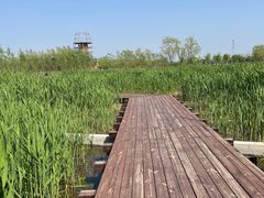 -永定河休闲森林公园