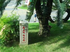 -深圳仙湖植物园