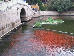 android_upload_pic-普陀山风景名胜区-法雨禅寺