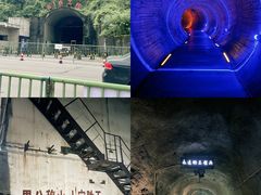 -武陵山森林公园