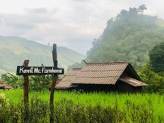 -清迈夜间动物园