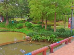 -中山市树木园