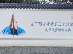 -印象普陀