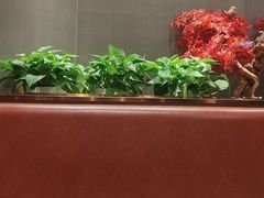 -蝎王府羊蝎子(西直门店)