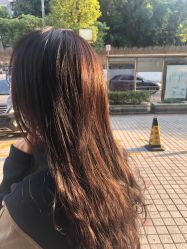 -Garden花園造型