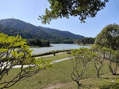-风云岭森林公园