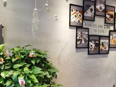 -ZING COFFEE 镜咖啡