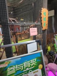 -酷嗒动物文化乐园(cutezoo西溪乐天城店)