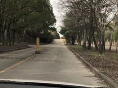 -胜华驾校·小猫学车(银都店)