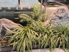 -赠李白·如诗的川味(余杭万达广场店)