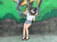 -巨鹏飞梦幻海岸