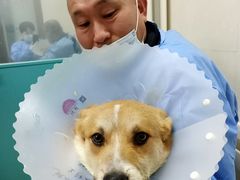 -北京观赏动物医院·24小时大型综合·猫专科·异宠专科