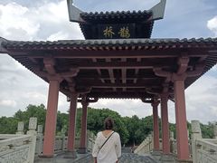 -东湖落雁景区