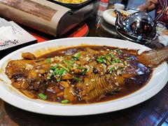 红烧野生鳎目鱼-东来菜馆•手抓海鲜家常菜•海鲜锅贴(鸽子窝店)