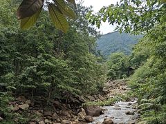 -姑婆山旅游区