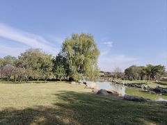 -京城涮爆舫(角门西店)