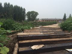 iphone_upload_pic-白洋淀锅里口灶台鱼