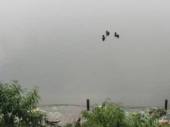 -上海怡沁园度假酒店