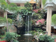 -广州白天鹅宾馆