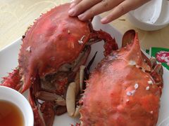 -海岛渔村大酒店(云霄路店)