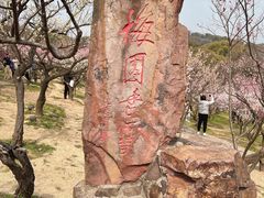 -无锡梅园公园