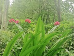 -阿哈湖国家湿地公园