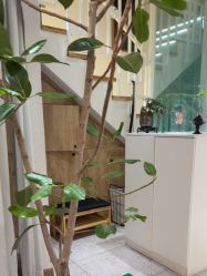 -薇薇安花系SPA