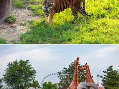 -济南野生动物世界