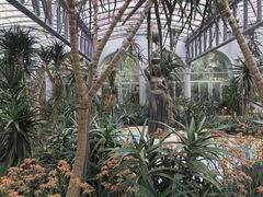 -深圳仙湖植物园