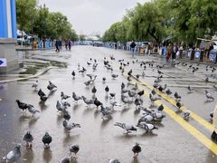 -伊犁老城喀赞其民俗旅游区