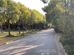 -吴淞炮台湾湿地森林公园烧烤区