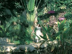 -郑州植物园