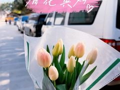 -三圣花乡旅游区