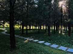 -北坞公园