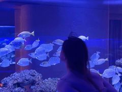 -上和臻品中国菜(花园街店)