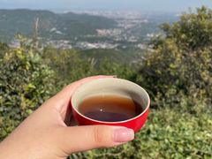 -北京西山国家森林公园