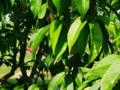 -汉长安城未央宫国家考古遗址公园