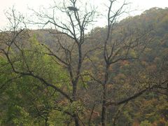 -秦岭风景区
