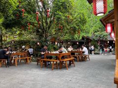 -青城甲(青城山店)