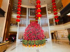 -深圳星河丽思卡尔顿酒店