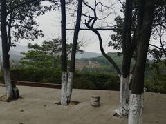 -火炉山森林公园