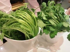 -陈记顺和牛肉火锅馆(天河北路店)