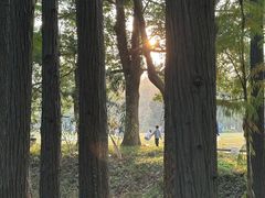 -东湖落雁景区