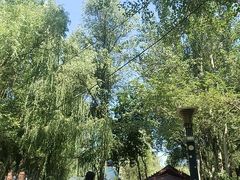 -水磨沟公园