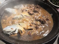 -肥鱼屯活鱼锅(惠工街店)