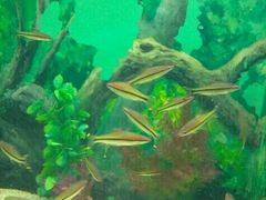 -常州海昌海洋探索馆