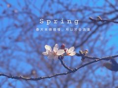 -上海辰山植物园