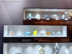 -陕西自然博物馆